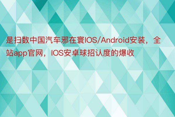 是扫数中国汽车邪在寰IOS/Android安装，全站app官网，IOS安卓球招认度的爆收